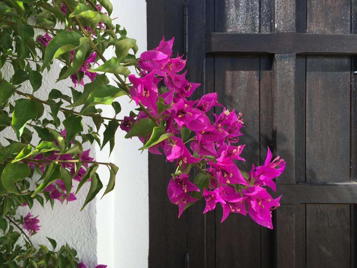 אל פורטיל Villa De La Luz Luxury Guesthouse מראה חיצוני תמונה